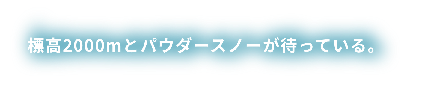 標高2000mとパウダースノーが待っている。