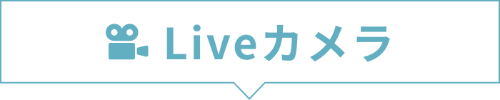 Liveカメラ